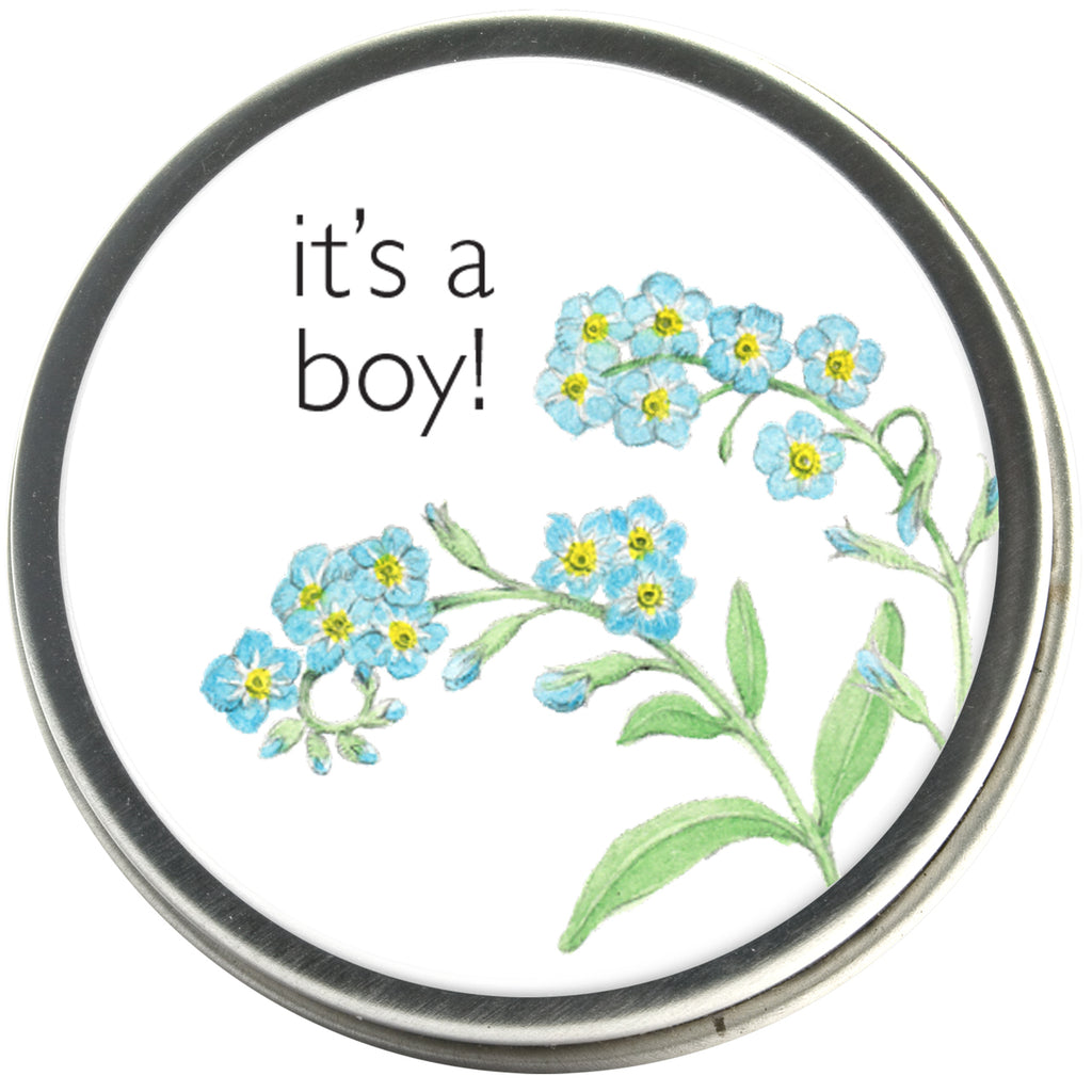 Potting Shed Creations It's a Boy Forget Me Not Garden Sprinkles Seed Kit