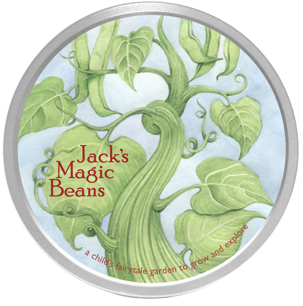 Potting Shed Creations Jack's Magic Beans Kids Fairytale Garden Seed Kit